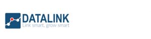 Logo van Datalink